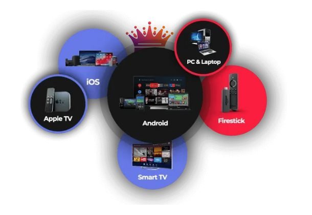 Premium Features of Procode TV