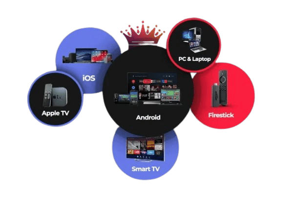 Premium Features of Procode TV